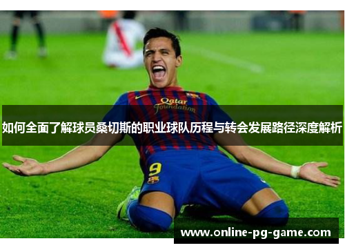 如何全面了解球员桑切斯的职业球队历程与转会发展路径深度解析 如何全面了解球员桑切斯的职业球队历程与转会发展路径深度解析