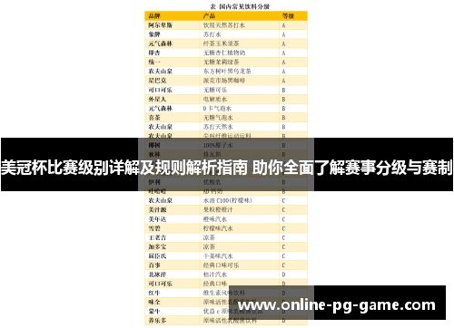 美冠杯比赛级别详解及规则解析指南 助你全面了解赛事分级与赛制