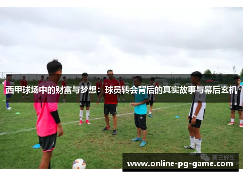 西甲球场中的财富与梦想：球员转会背后的真实故事与幕后玄机